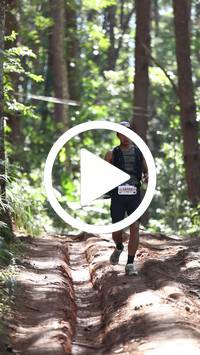 BIB:  <button type="button" onclick="openModal(26569325)" class="btn btn-primary btn-sm float-right" data-toggle="modal" data-target=".modal-high-quality">
                <i class="fa fa-download"></i> Download
                </button>